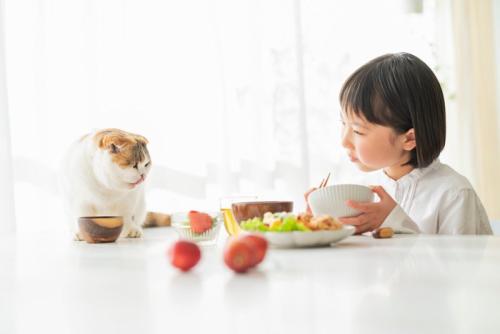 朝食をとる女の子と猫