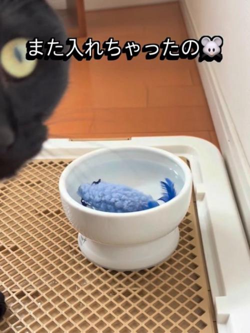 水に浸るおもちゃ
