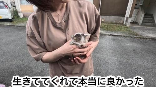 抱っこされる保護された子猫