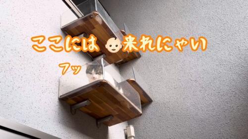 テロップ「ここには~」