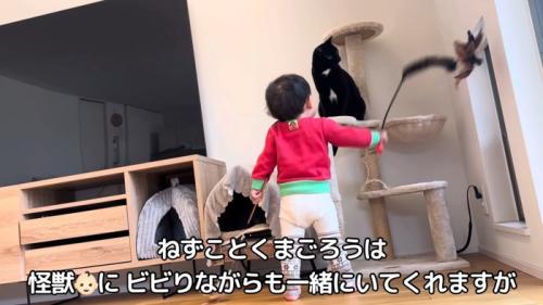テロップ「ねずことくまごろうは~」