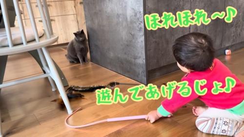 テロップ「ほれほれ~」
