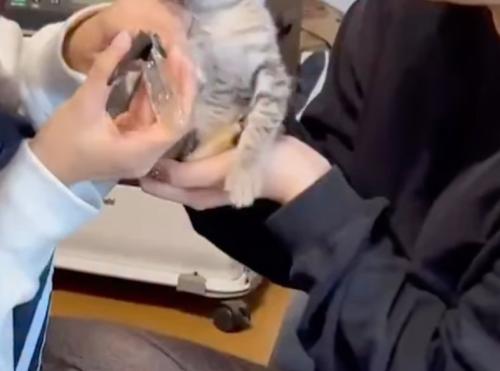 猫の爪切り