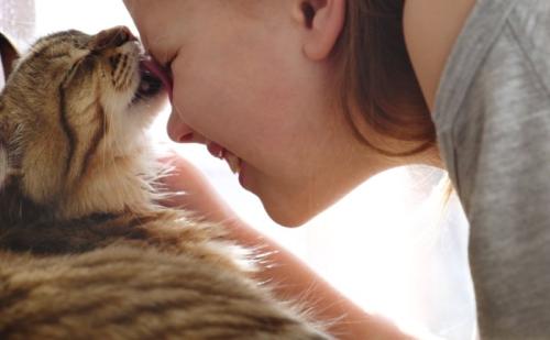 女の子の顔を舐める猫