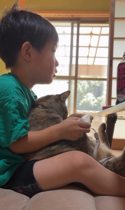 ゲームをしている男の子と猫