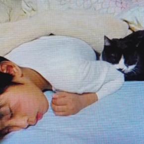 幼いころからずっと一緒の男の子と猫→出会いから20年…胸が熱くなる『成長記録』に「朝から号泣した」「家族の絆が素敵」と30万再生