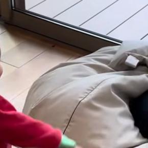 猫たちと遊びたい赤ちゃん→『両手に猫じゃらし』を持って誘いに行くと…微笑ましい光景に反響「全員可愛すぎる」「笑ってしまったw」