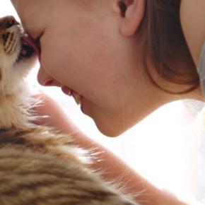 猫に『思いを伝えたい』ときの方法3つ　良好な関係を保ちながら気持ちを届けるコツ