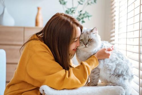 窓辺で顔をくっつける猫と女性