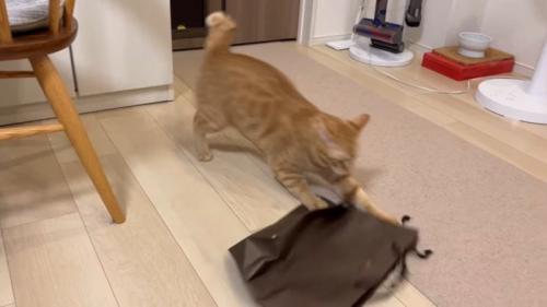 パンチ