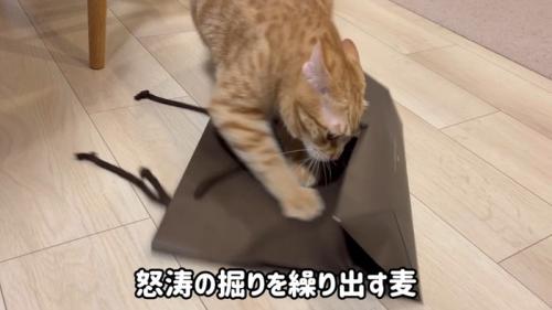 怒涛の掘り