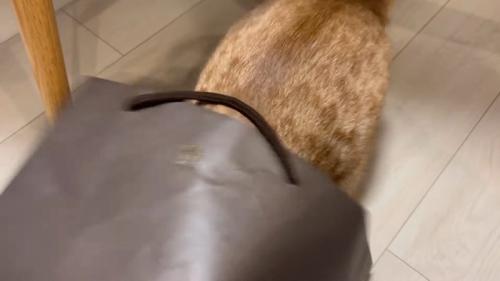 潜った姿