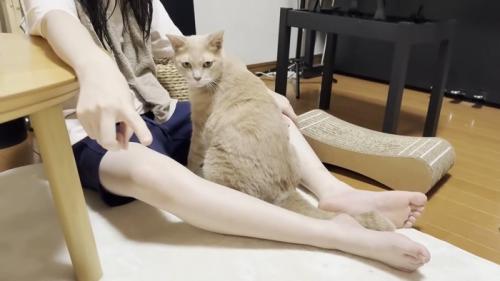 カメラのほうを指差す娘さんと振り向く猫ちゃん