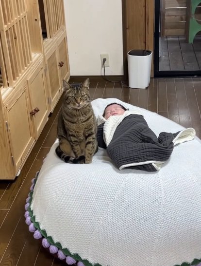 赤ちゃんが寝る布団のそばに座っている猫