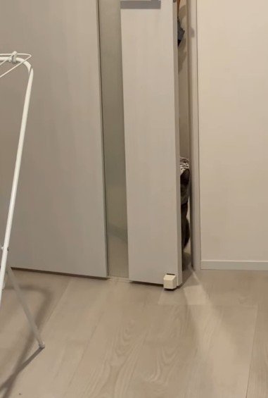 ドアの隙間からのぞく何か