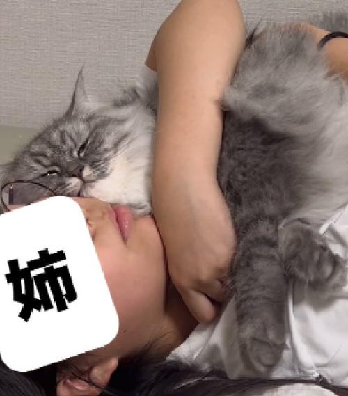 幸せそうな猫