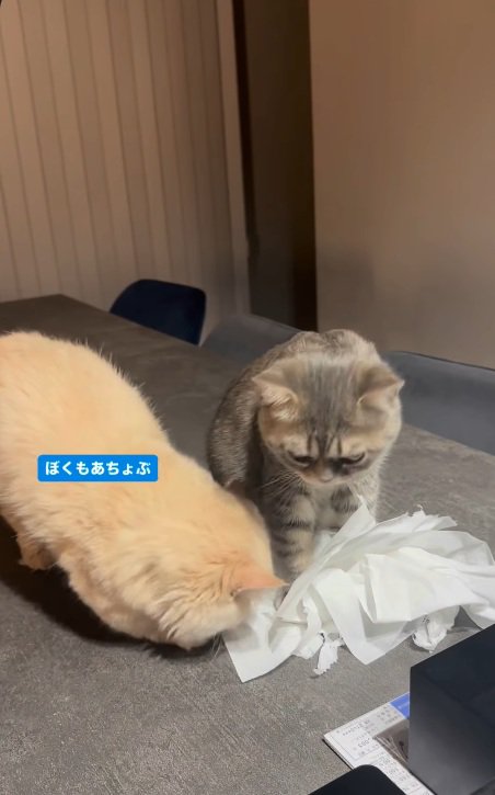 便乗