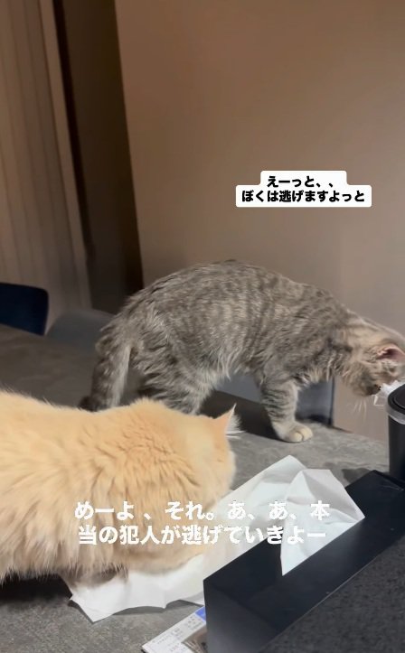 逃亡
