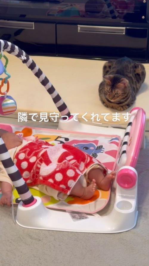 床に寝転がっている赤ちゃんのそばに座る猫