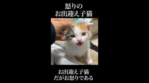 正面