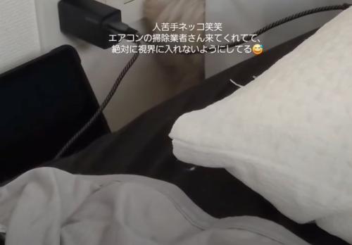 カーテンの裏に