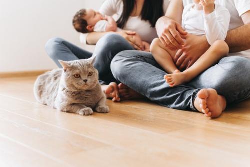 人間の家族のそばに座る猫