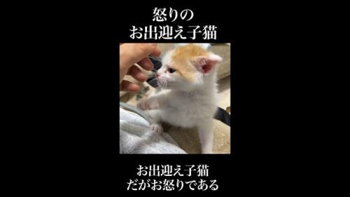 横顔
