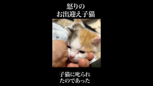 顔乗せ
