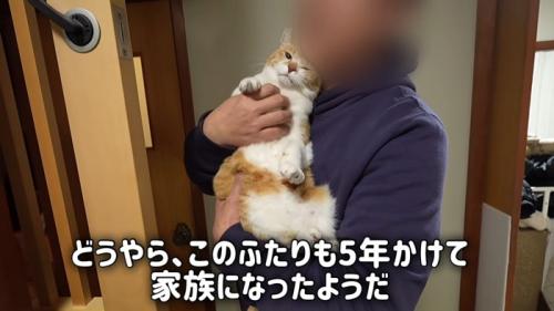 抱っこされる猫