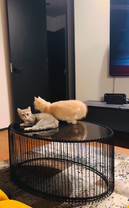 逃走