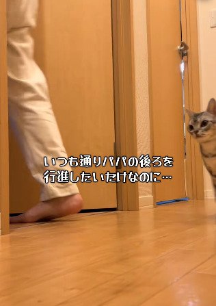 パパさんが立ち去った方向を見つめるジャックくん