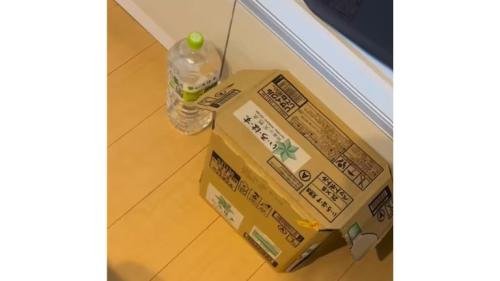 ダンボール