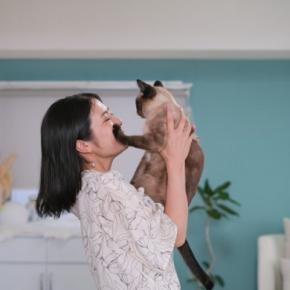 猫が『触れないでほしい』と思っているときのサイン3つ　拒んでくる心理や上手な接し方まで