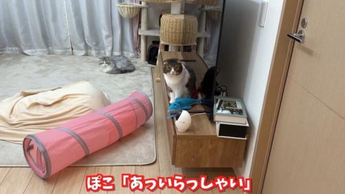 あっいらっしゃい