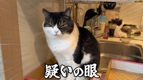 疑いの眼