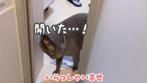 桶のそばへやってきたハムちゃん