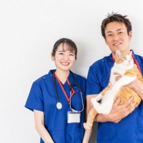 猫が通う『動物病院』を決める方法4つ　どう探せばいいの？信頼できる病院の見分け方とは