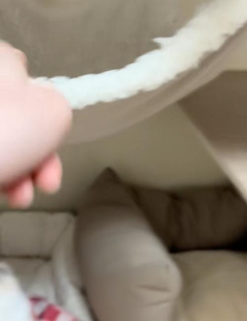 ハンモックを指差す
