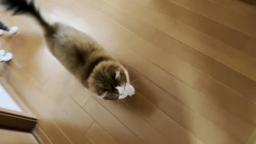 上から