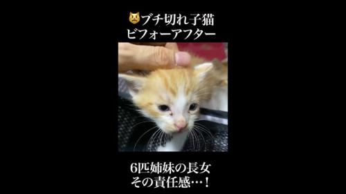 なでなで