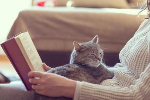 読書する飼い主に抱っこされる猫