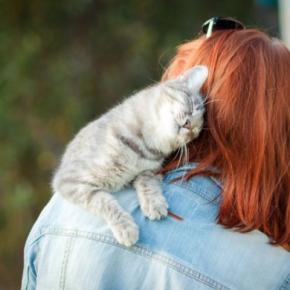 猫は『単頭飼いと多頭飼い』どっちがいいの？メリット・デメリットや迷ったときの判断基準まで
