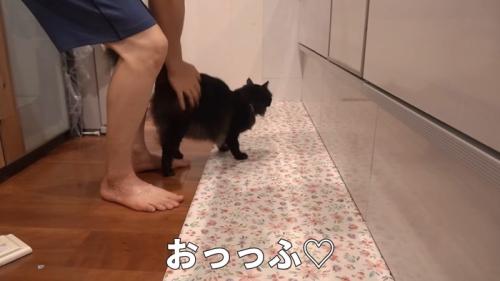 おっっふ♡