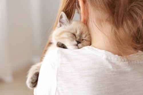 少女に抱っこされて寝ている子猫