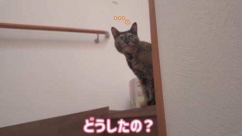 どうしたの?