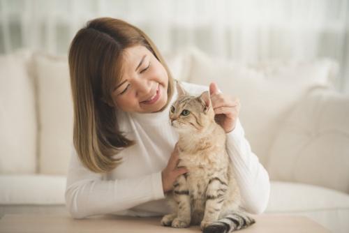 頭をなでられる猫