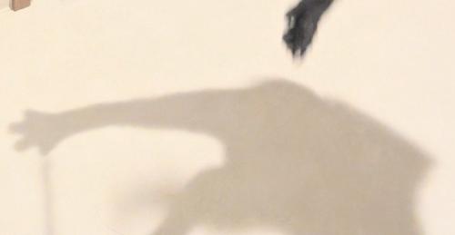 床に映る子猫の影