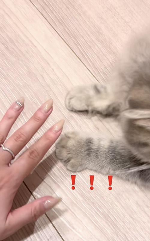 おててを開き始める凪ちゃん