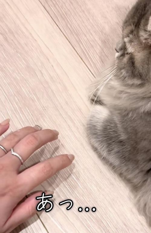 おててを引っ込めた凪ちゃん