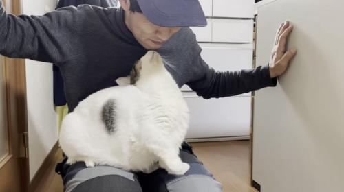 お父さんになでられながら、膝の上で顔を上げる豆大福くん